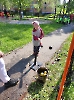 Basseball_5