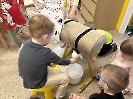 Domácí a hospodářská zvířátka_13