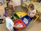 Domácí a hospodářská zvířátka_17