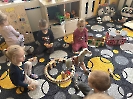 Domácí a hospodářská zvířátka_18