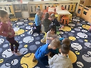 Domácí hospodářská zvířata_11