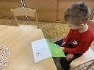 Domácí hospodářská zvířata_27