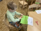Domácí hospodářská zvířata_29