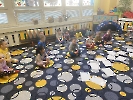 Domácí hospodářská zvířata_2