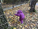 Projekt Halloween_18