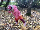 Projekt Halloween_21