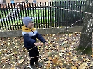 Projekt Halloween_24