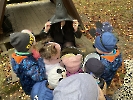 Projekt Halloween_26