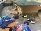 Výlet do zoo_11