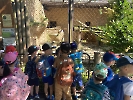 Výlet do zoo_13