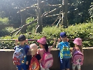 Výlet do zoo_17