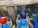 Výlet do zoo_18