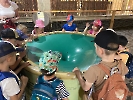 Výlet do zoo