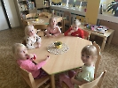 Rajče, celer, ředkvička..._14