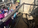 Třídní výlet do ZOO Vendryně_1