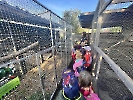Třídní výlet do ZOO Vendryně_2