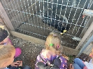 Třídní výlet do ZOO Vendryně_4