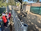 Třídní výlet do ZOO Vendryně_7