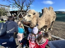 Třídní výlet do ZOO Vendryně