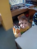 Tvoření ve škole_5
