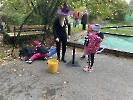 Dýňohraní