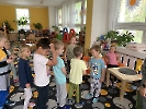 Dominik