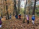 V podzimním lese_2