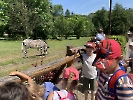 ZOO