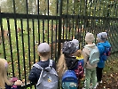 Výlet do parku B. Němcové v Karviné